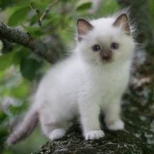 Meet your Posher, Kristin